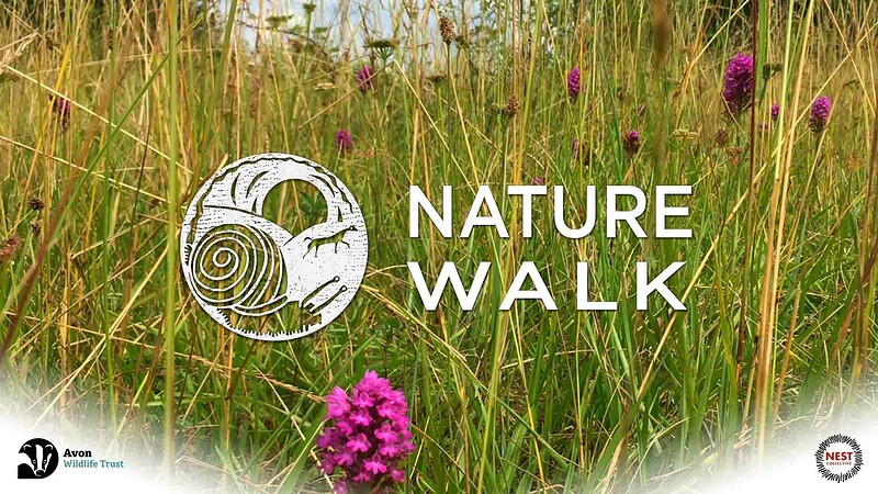 Nature Walk with The Nest Collective at Hengrove Mounds