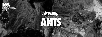 In:Motion / Ants at Motion