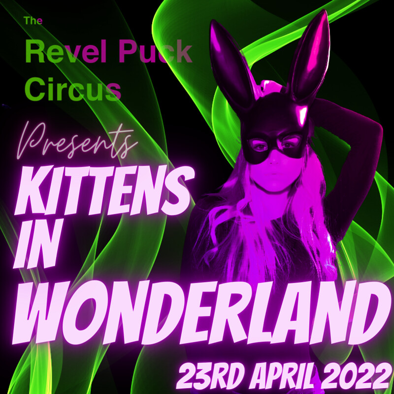 Kittens In Wonderland at Revel Puck Circus