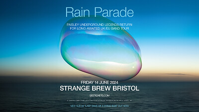 The Rain Parade at Strange Brew
