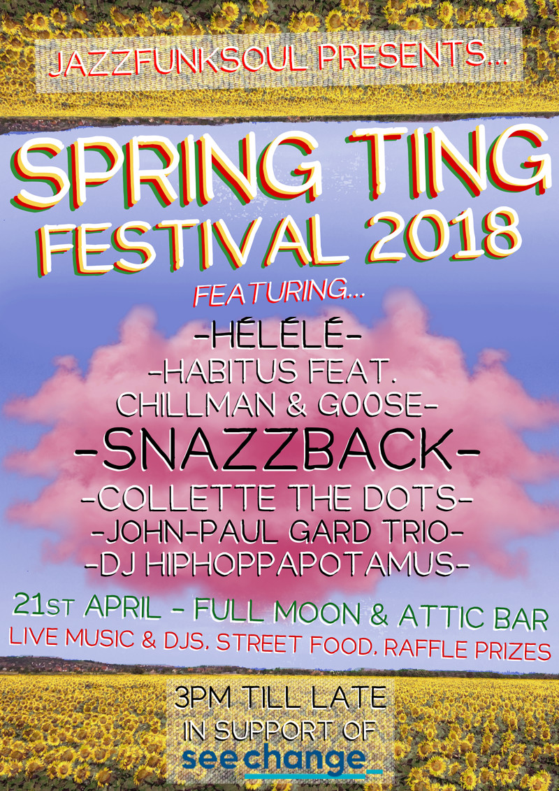 Spring Ting Festival 2018 at The Attic Bar
