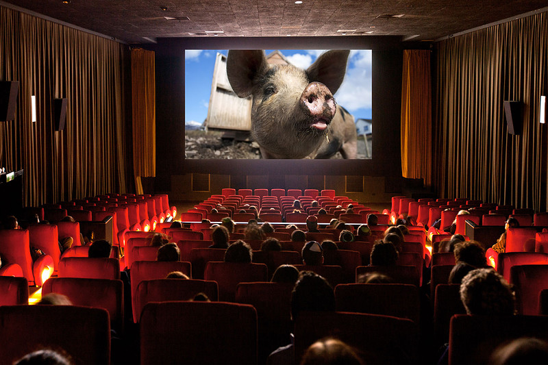 Pigpen Cinema at The Greenbank