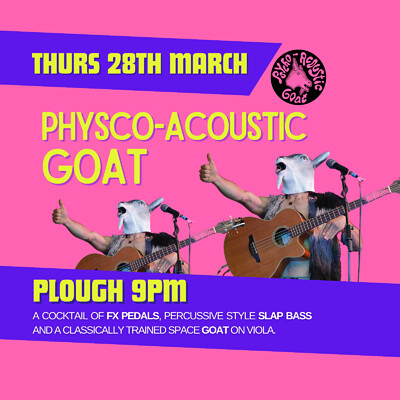 Physco-acoustic Goat at The Plough Inn