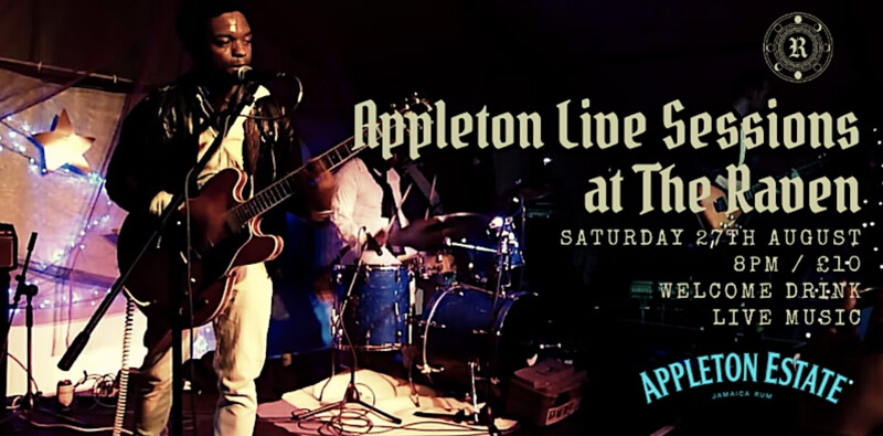 The 45's | Appleton Sessions at The Raven