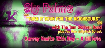 Turn It Down for the Neighbours gig @ the Surrey Vaults at The Surrey Vaults