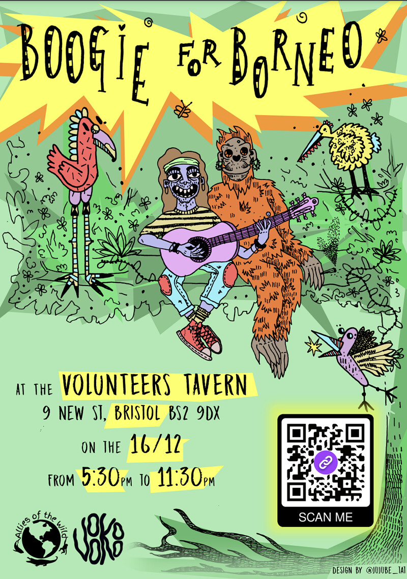 Boogie For Borneo - VooKoo & Allies of The Wild at Volunteer Tavern