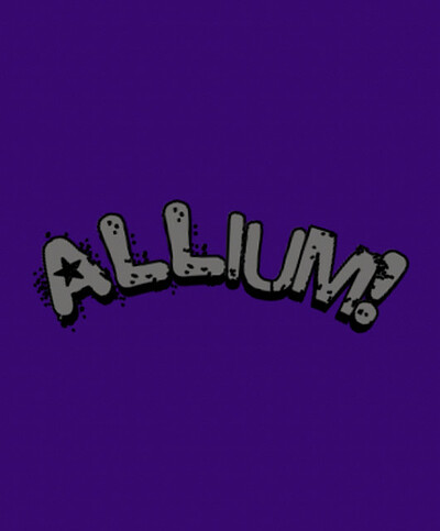 'Allium' Headline 'An Alt Rock Evening' at Zed Alley