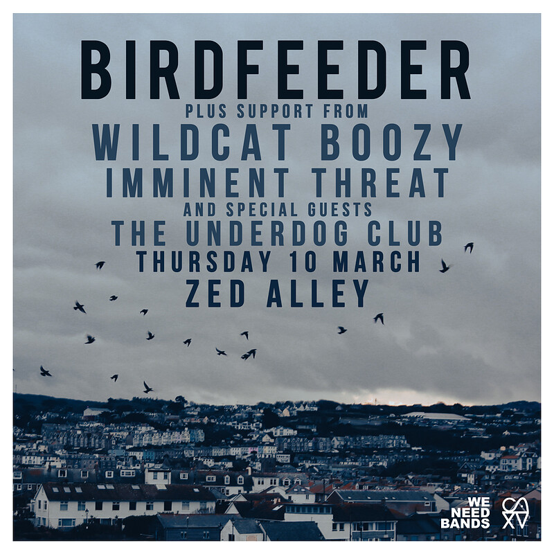 WE NEED BANDS | Birdfeeder + Support at Zed Alley