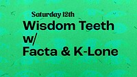 Wisdom Teeth K-Lone & Facta at The Love Inn in Bristol